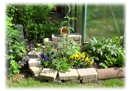 Gartentag - Tag der offenen Gartentr - Blumen und Steine