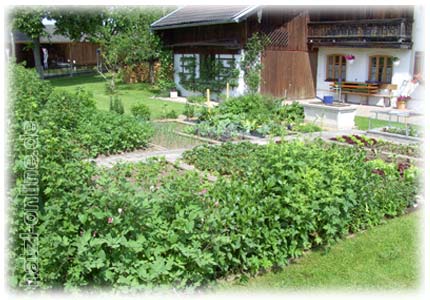 Gartentag - Tag der offenen Gartentr - Gemsegarten